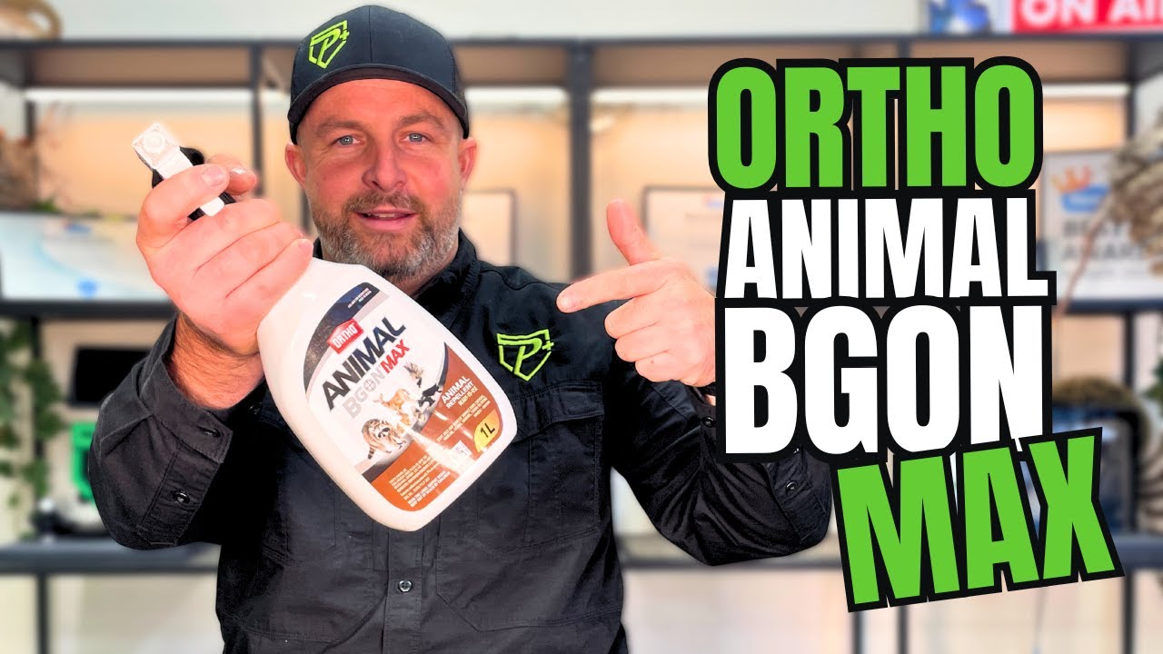 Animal Repellent Does it Actually Work? Ortho Animal B Gone