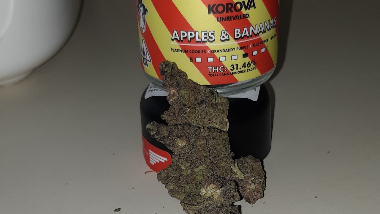 strain review @Hollister ca smoking. korova unveiled apples & Bananas
