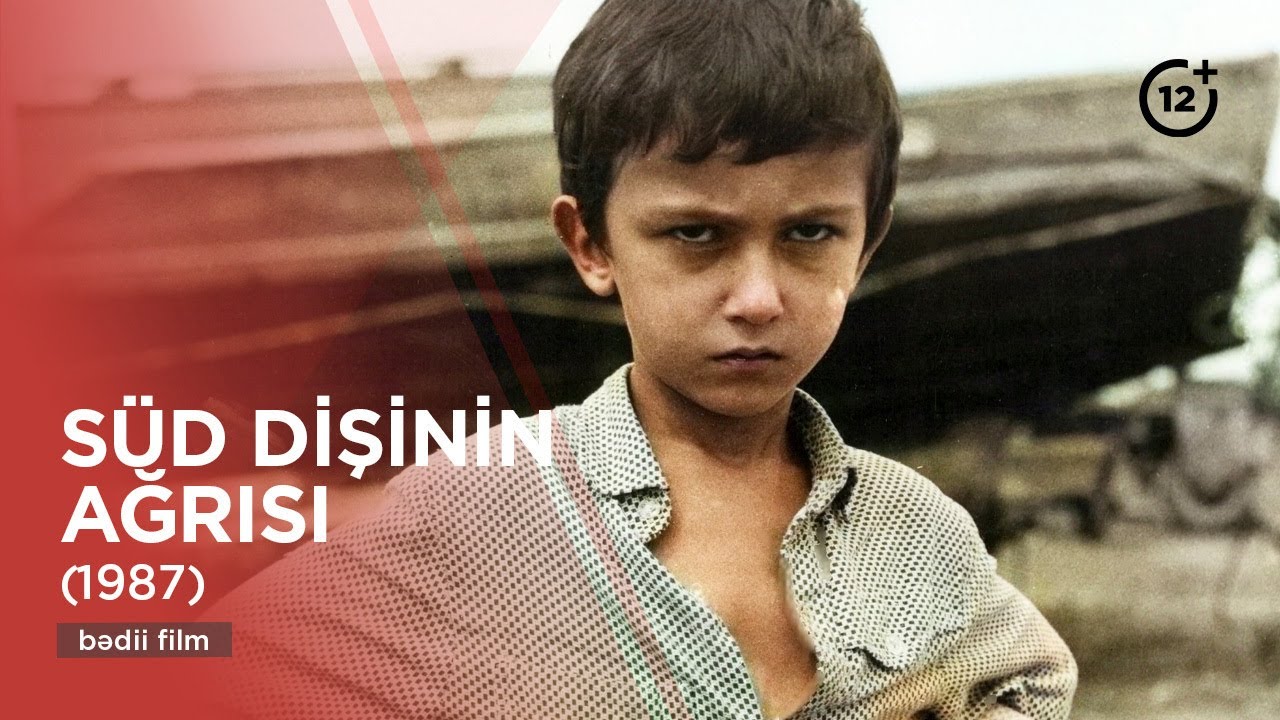 Süd dişinin ağrısı (1987)
