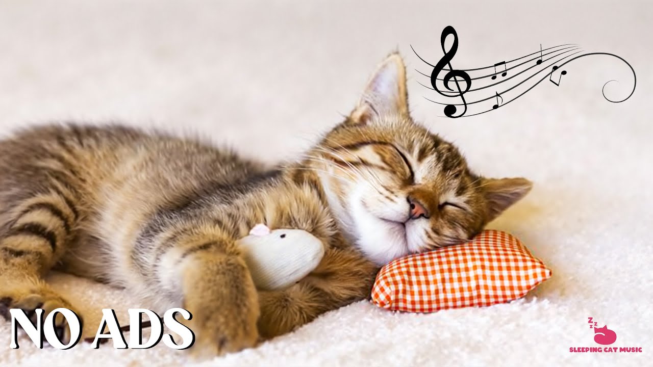 Calming Music For Cats - Relaxation, Relief of Anxiety and Stress