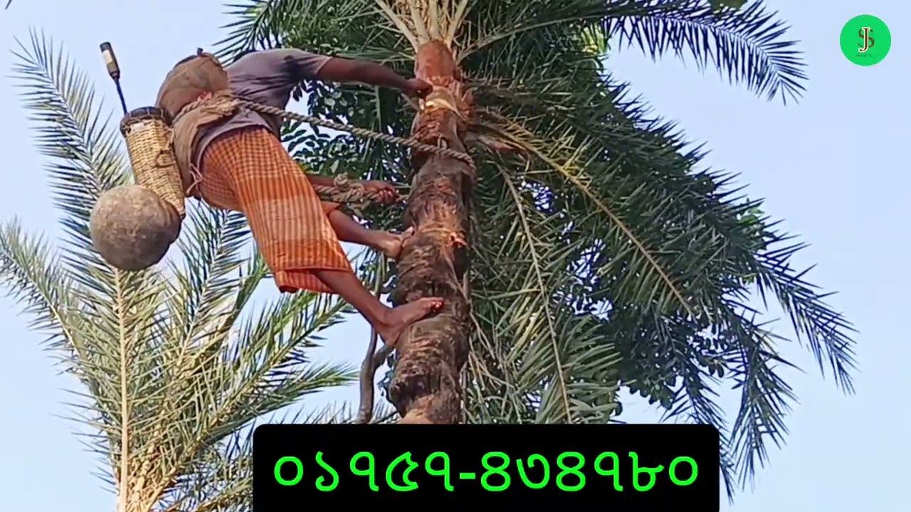 গাছি গাছে উঠে পানির মতো # Jamirul Super shop # কিভাবে গাছি গাছে উঠে দেখুন। 
