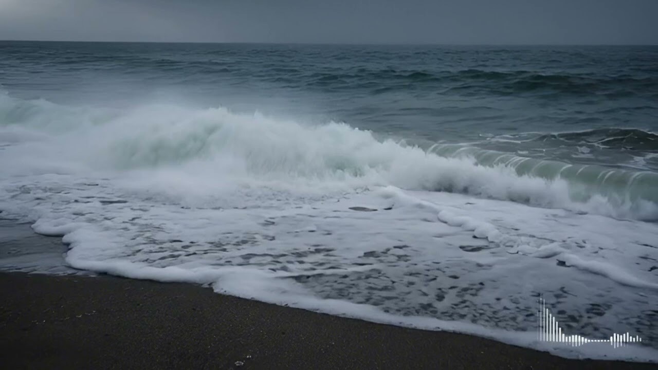 Dark Rain on the Shore | 어두운 비오는 바다 감성 무드