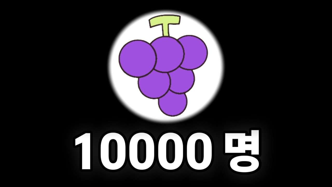 구독자 10000명 기념 Q&A 영상
