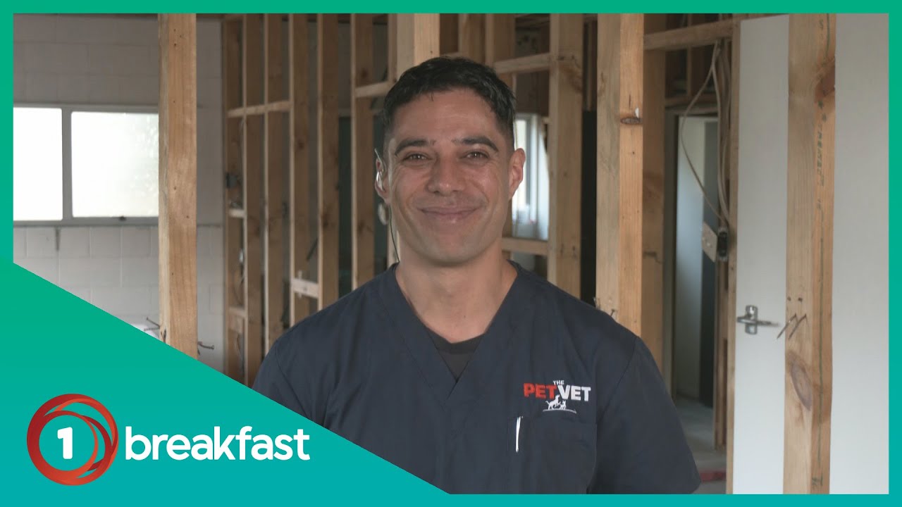 Vet's advice for cat owners having to change regular food