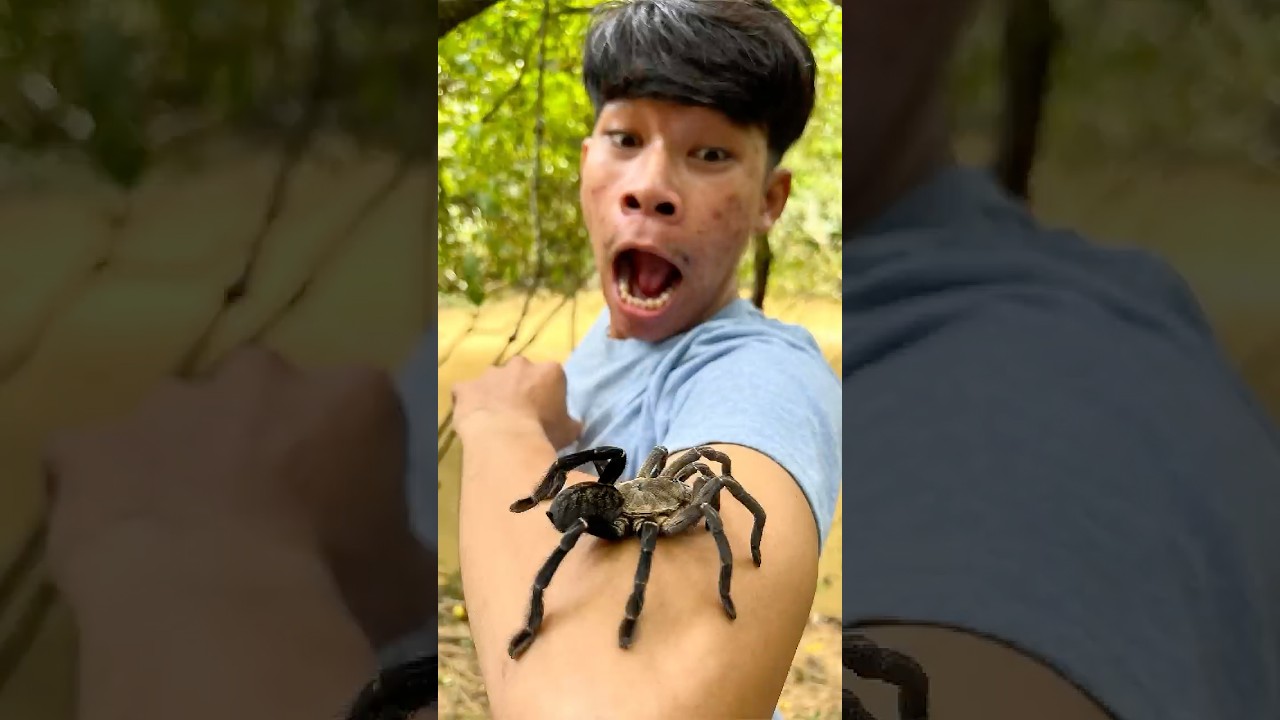 SPIDER Survival Hacks with PEPPER for Wilderness Emergency