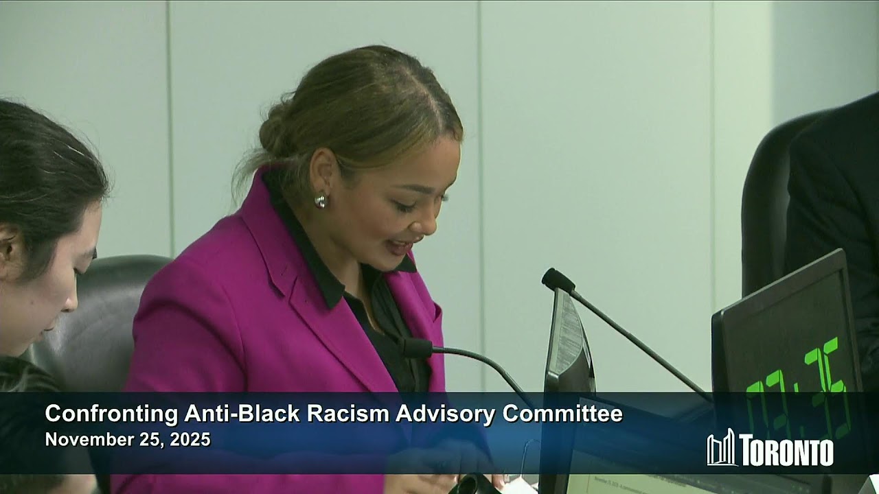 Confronting Anti-Black Racism Advisory Committee - November 25, 2025