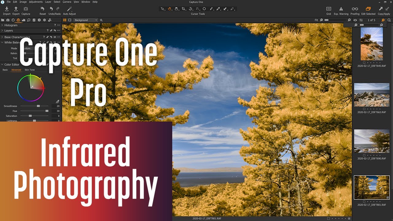 How to edit Infrared Photos with Capture One Pro