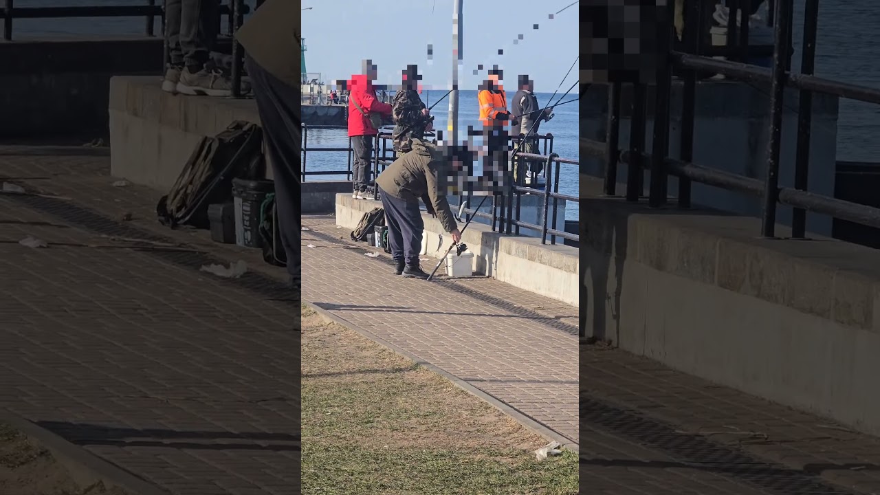 Kilka ujęć śledziowych żniw po południu na nabrzeżu Zi&oacute;łkowskiego + ujęcia statku AAL Gladstone.