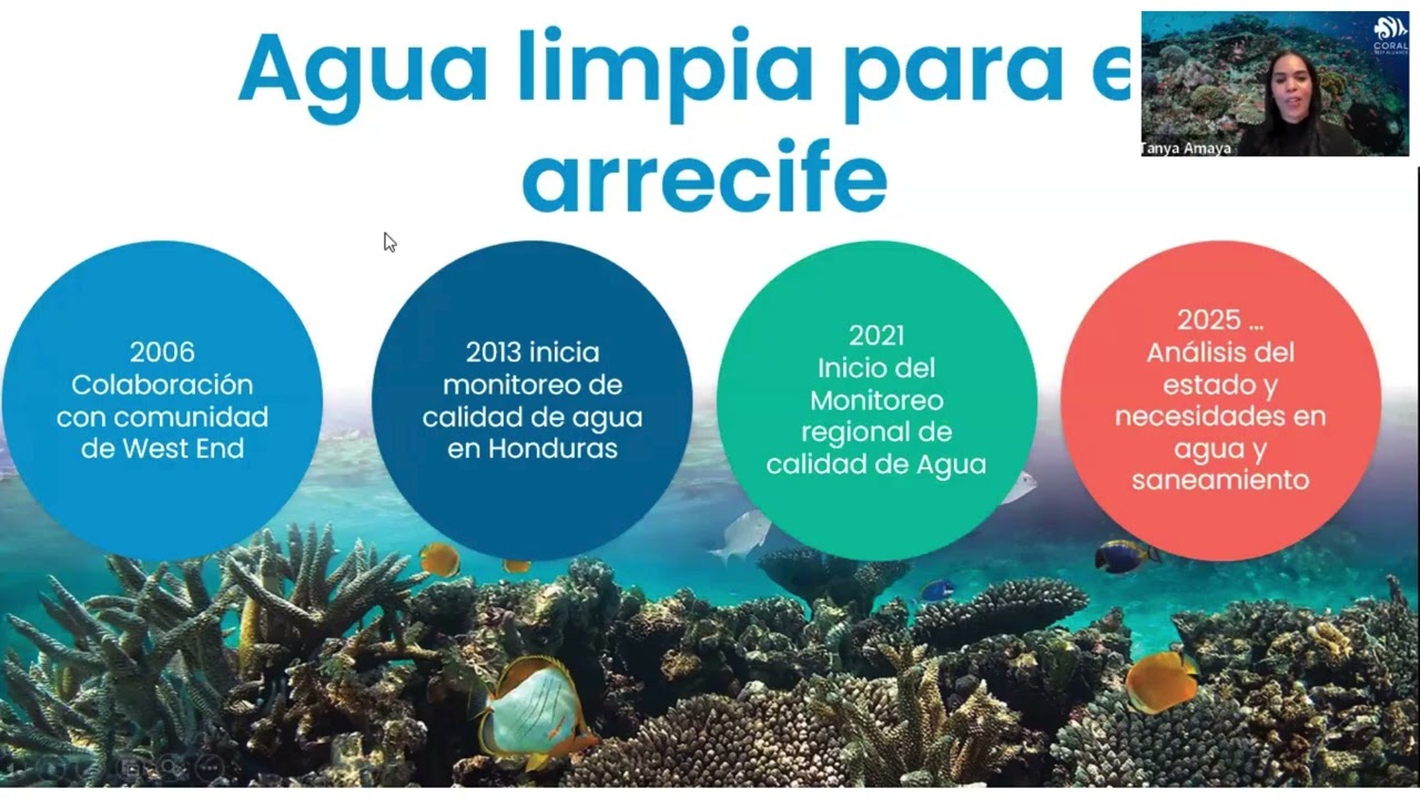 Water Quality in the Mesoamerican Reef System and Sanitation Initiatives in Honduras