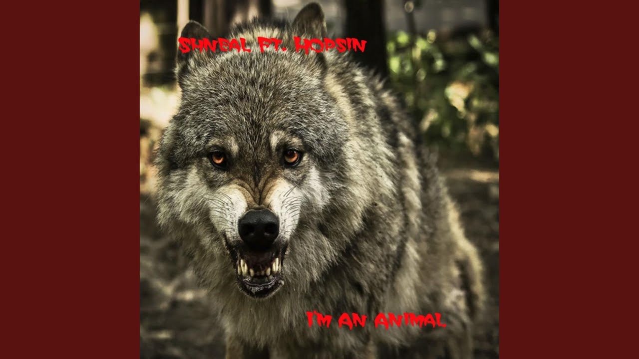 I'm an Animal