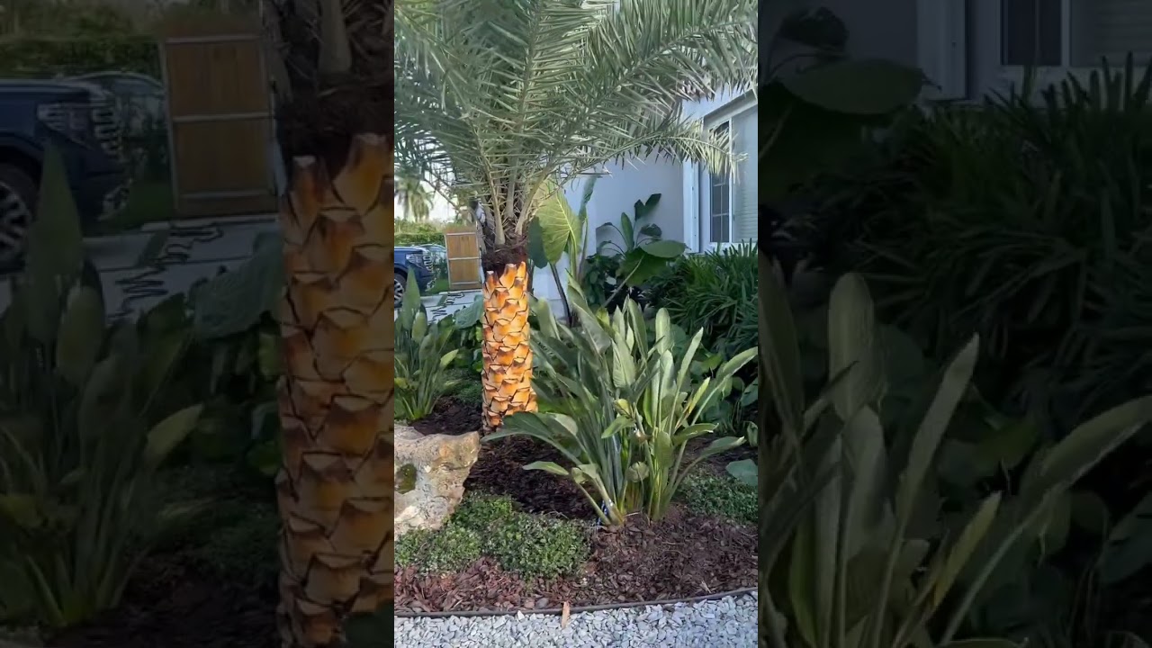 Beautiful Lush Landscape Build.. Bali Inspired