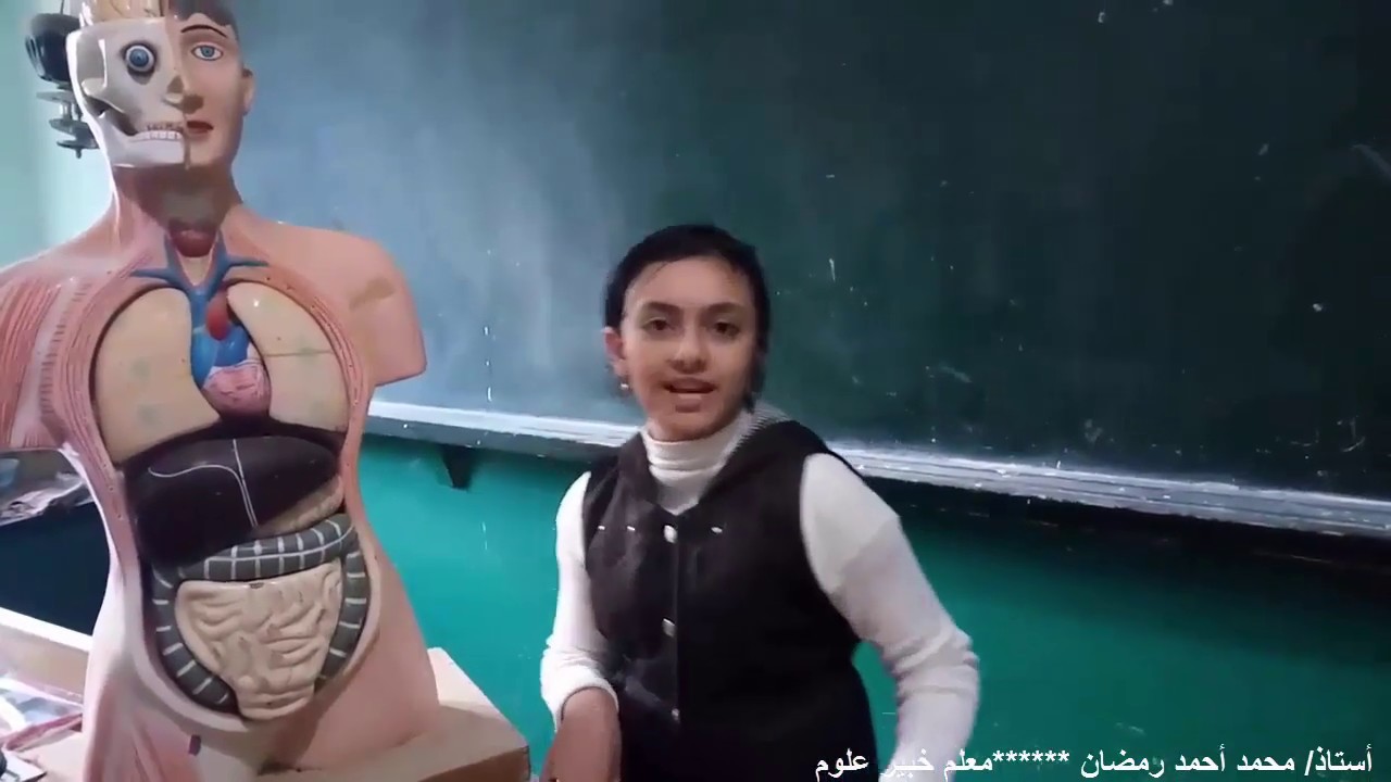 شرح الجهاز الهضمي واختبارات عليه