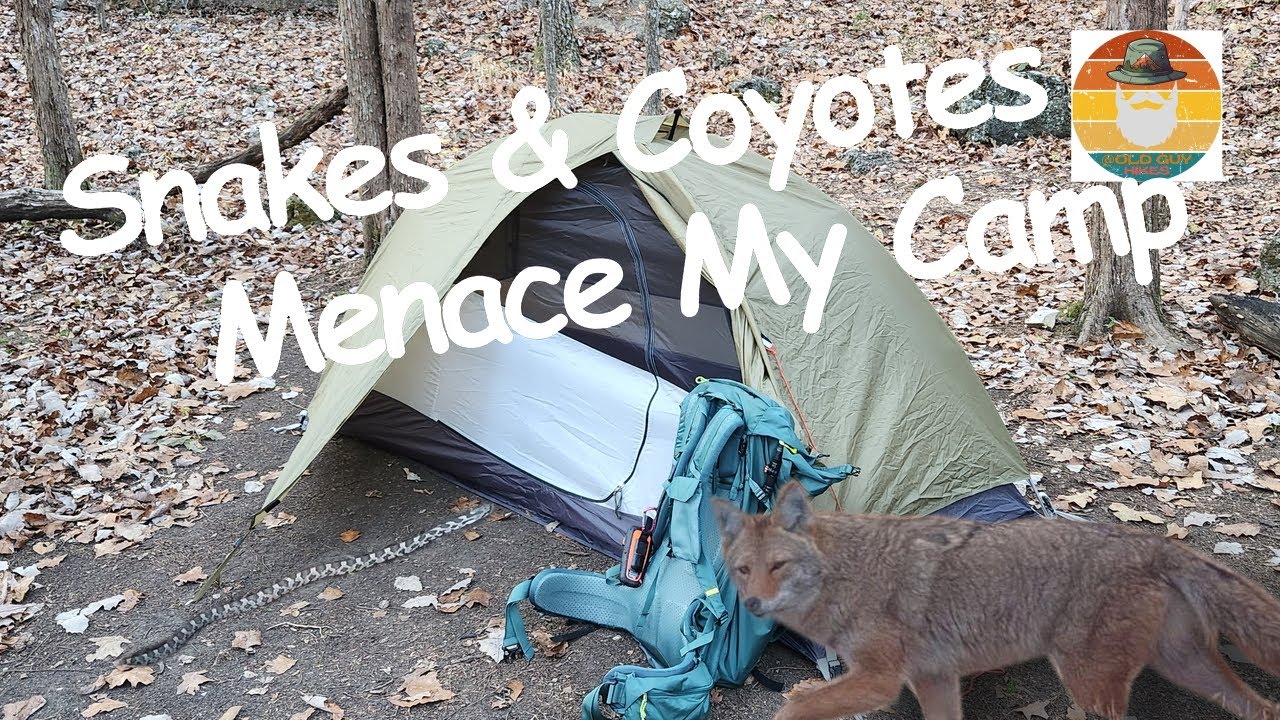Solo Backcountry Adventure: Snakes and Coyotes menace my campsite!🐍  Ha Ha Tonka 
