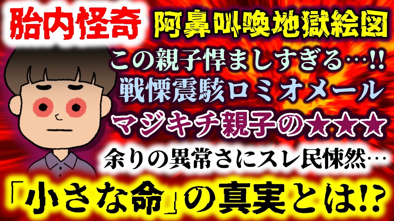 【胎内怪奇：阿鼻叫喚地獄絵図】｢小さな命｣の真実とは!?マジキチ親子の★★★この親子悍ましすぎる…!!余りの異常さにスレ民悚然…戦慄震駭ロミオメール【2ch修羅場スレ：ゆっくり実況】