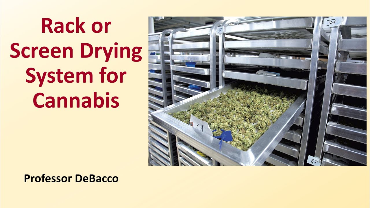 Rack or Screen Drying System for Cannabis