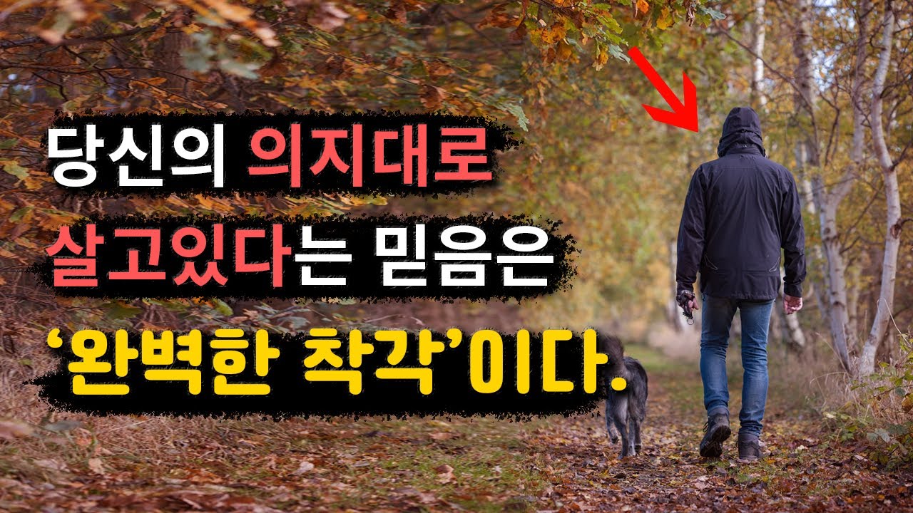 행복의 비밀 24강 [이 영상을 지나친다면 평생 후회할 거라 장담합니다.]