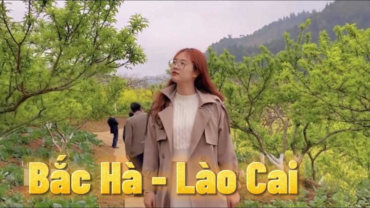 Bắc Hà – Lào Cai | Khám Phá Cao Nguyên Trắng, Chợ Phiên & Bản Làng Vùng Cao