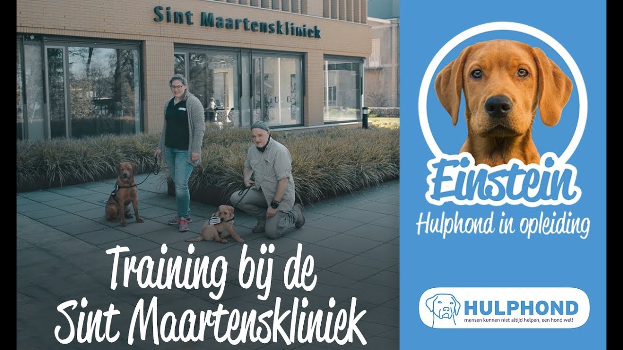 EINSTEIN #31 | Training bij de Sint Maartenskliniek | Hulphond Nederland
