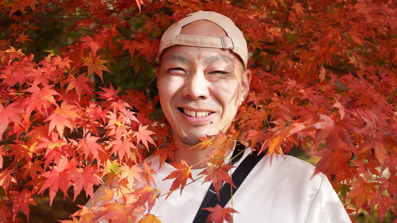 Le Japon en NOVEMBRE