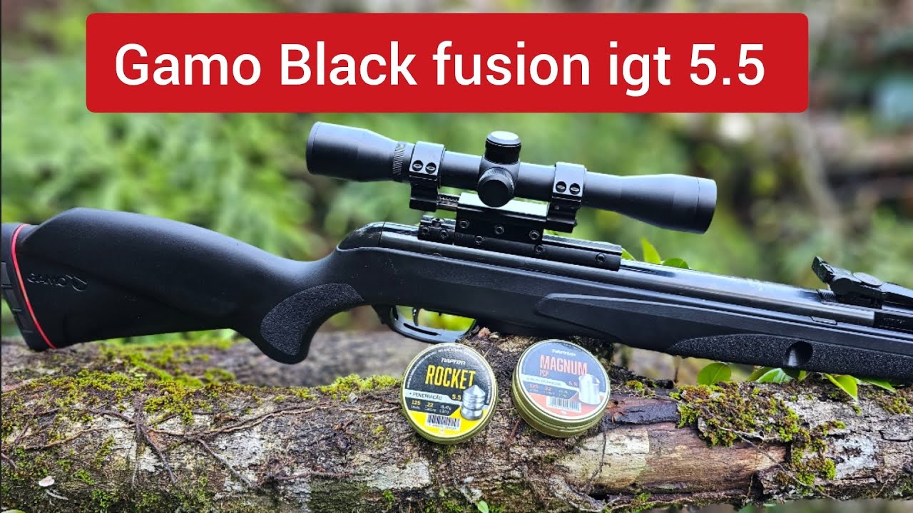 Carabina gamo Black fusion 5.5, chumbinho potência, safari metais!!!!
