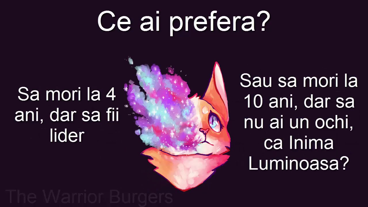 Ce ai prefera? - Pisicile Razboinice