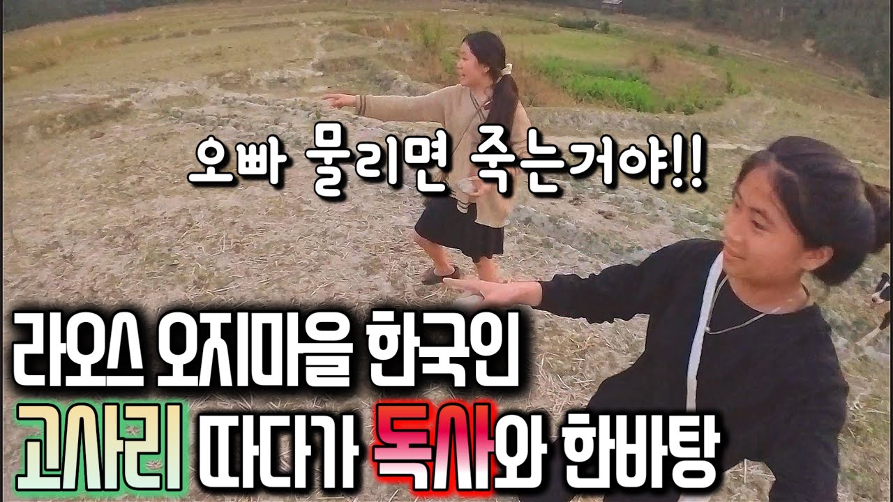 뱀이 진짜 예쁘게 생겼는데?? 오빠는 가만히 있어.. 내가 잡을게!ㅣ읍내 시골장터ㅣ반찬 고사리 구하기ㅣ