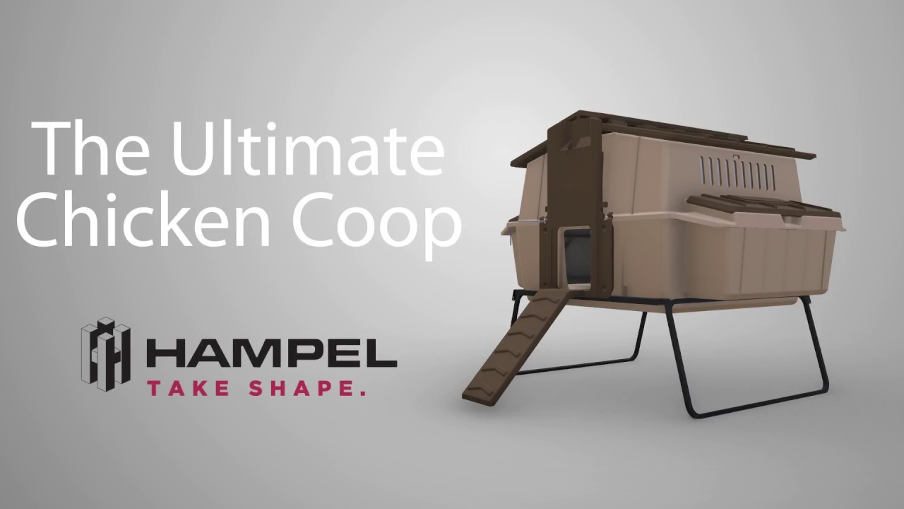 Ultimate Chicken Coop Design | Hampel