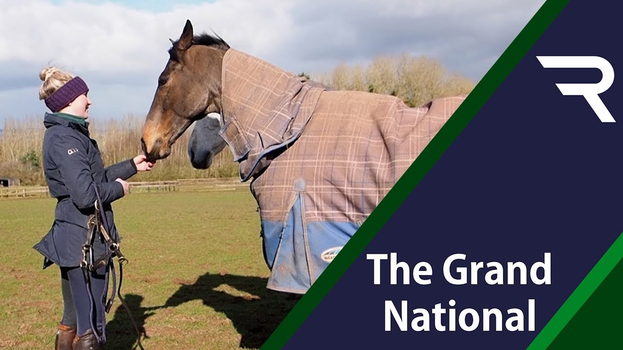 What's 2014 Grand National winner Pineau de Re doing since racing? Meet him and Lizzie Doolittle!