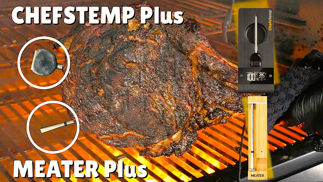Meater 2 Plus or ChefsTemp ProTemp Plus | Who Should Get Your Money