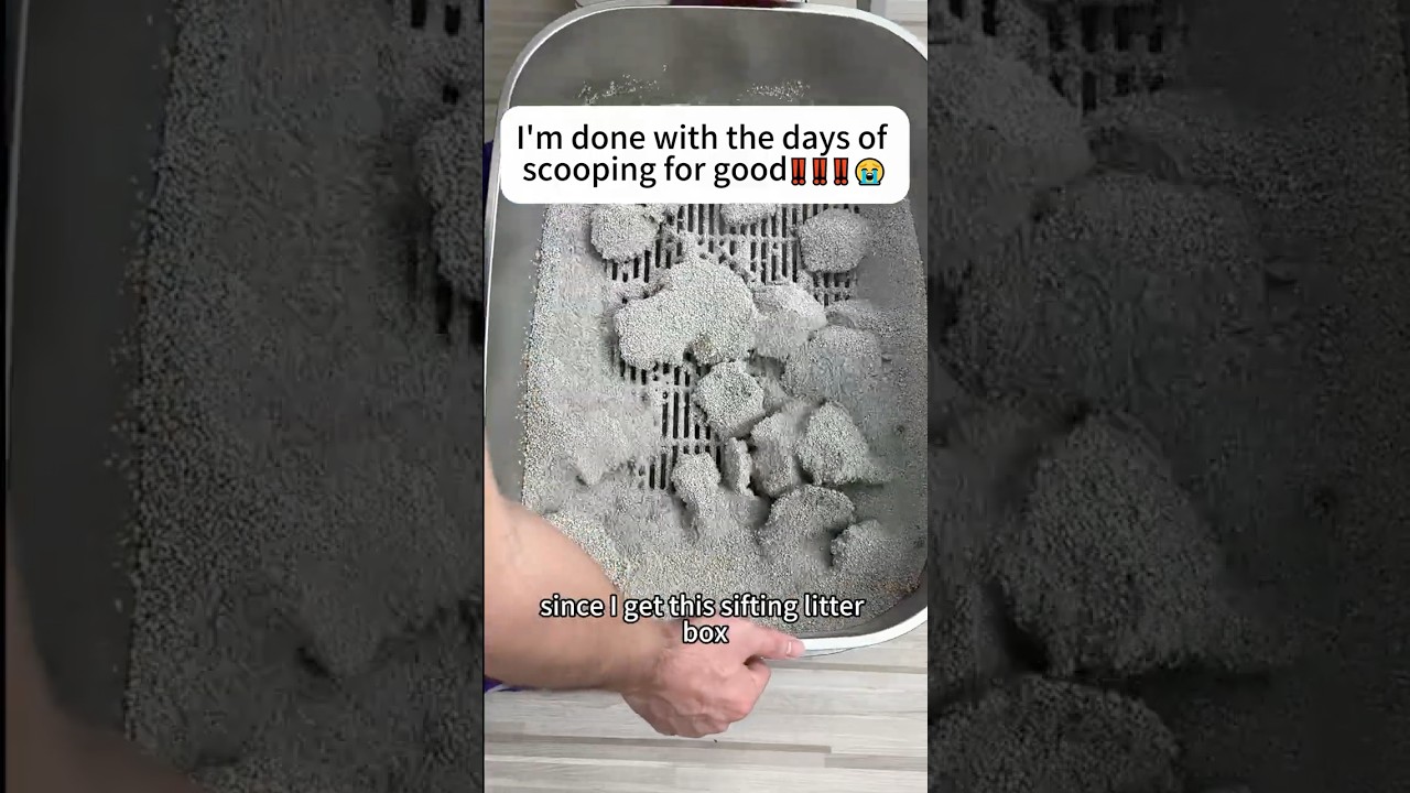 Busy Cat Parents? 3-Step Stainless Steel Sifting Litter Box | Save Time, Stay Clean