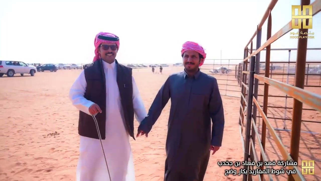 مشاركة فهد بن فهاد بن جخدب وعبدالرحمن بن عمير ال روق في شوط دق وضح -شقح