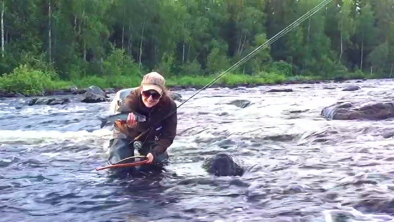Hossa National Park | 10k Experiment | 011 | Part 2 of Midsummer fly fishing in Hossa