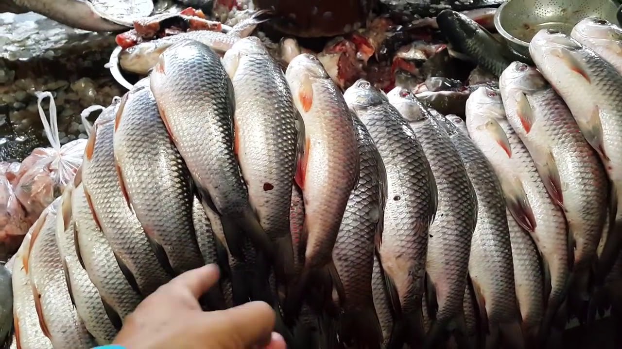 มิตจีนา 8: Myitkyina morning market Kachin State Myanmar ตลาดเช้ามิตจีนา