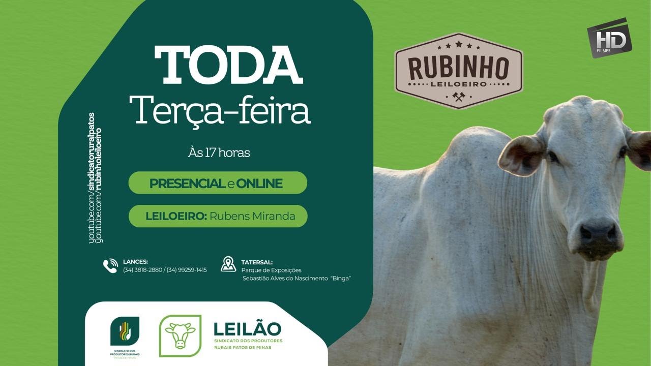 LEILÃO DE CORTE - SINDICATO DOS PRODUTORES RURAIS DE PATOS DE MINAS - 24/02/2026
