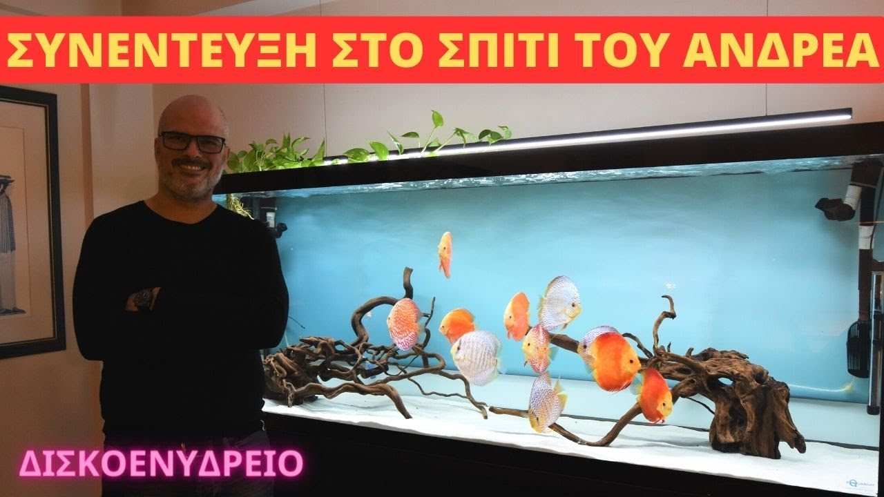 ΣΥΝΕΝΤΕΥΞΗ ΣΤΟ ΣΠΙΤΙ ΤΟΥ ΑΝΤΡΕΑ!!! ΑΥΤΟ ΤΟ ΔΙΣΚΟ ΕΝΥΔΡΕΙΟ ΔΕΝ ΤΟ ΧΑΝΕΤΕ!!
