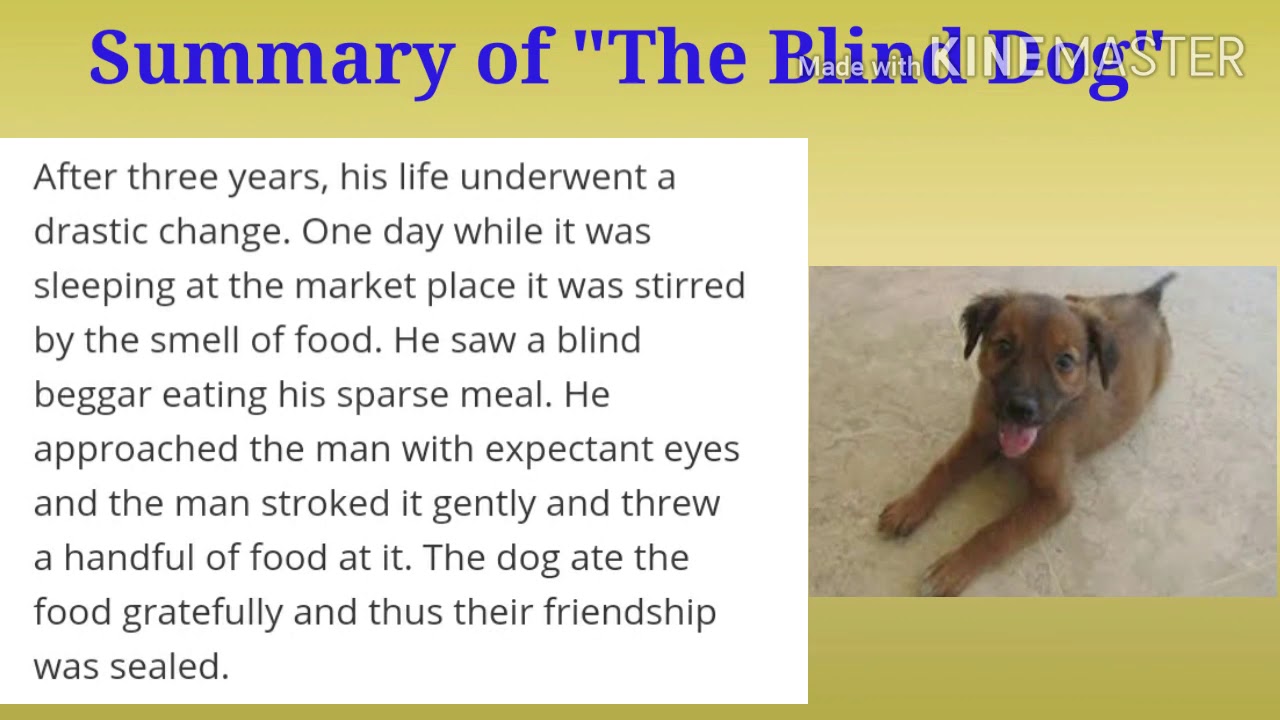 The Blind Dog, summary, grade - 7