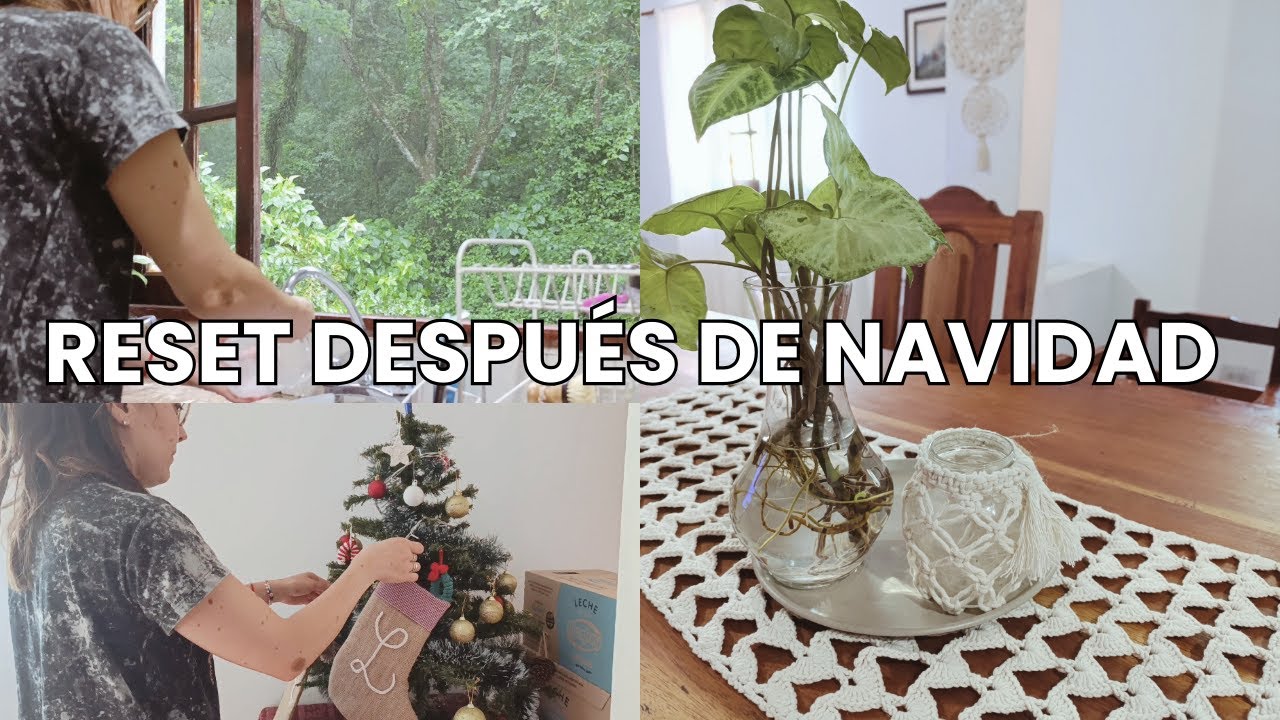 Día de limpieza y organización después de navidad 🎄 Compra mensual