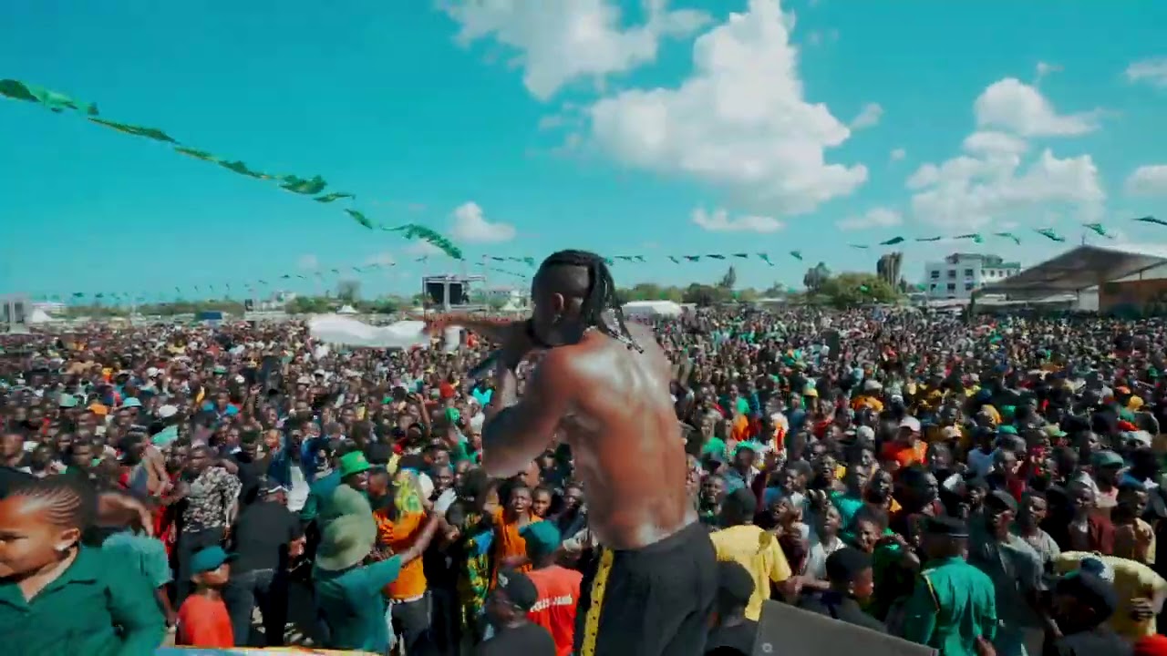 Diamond Platnumz -  Perfoming Live at Tanganyika Packers ( KAWE)
