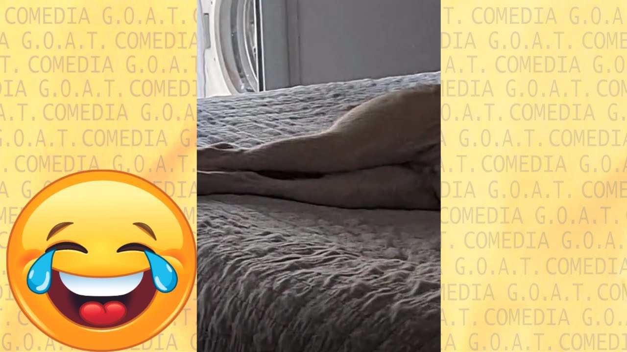 Funny Videos of March 2023