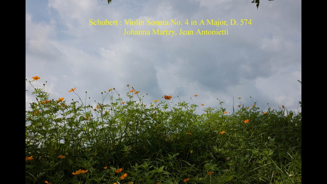 Schubert : Violin Sonata No. 4 in A Major, D. 574
