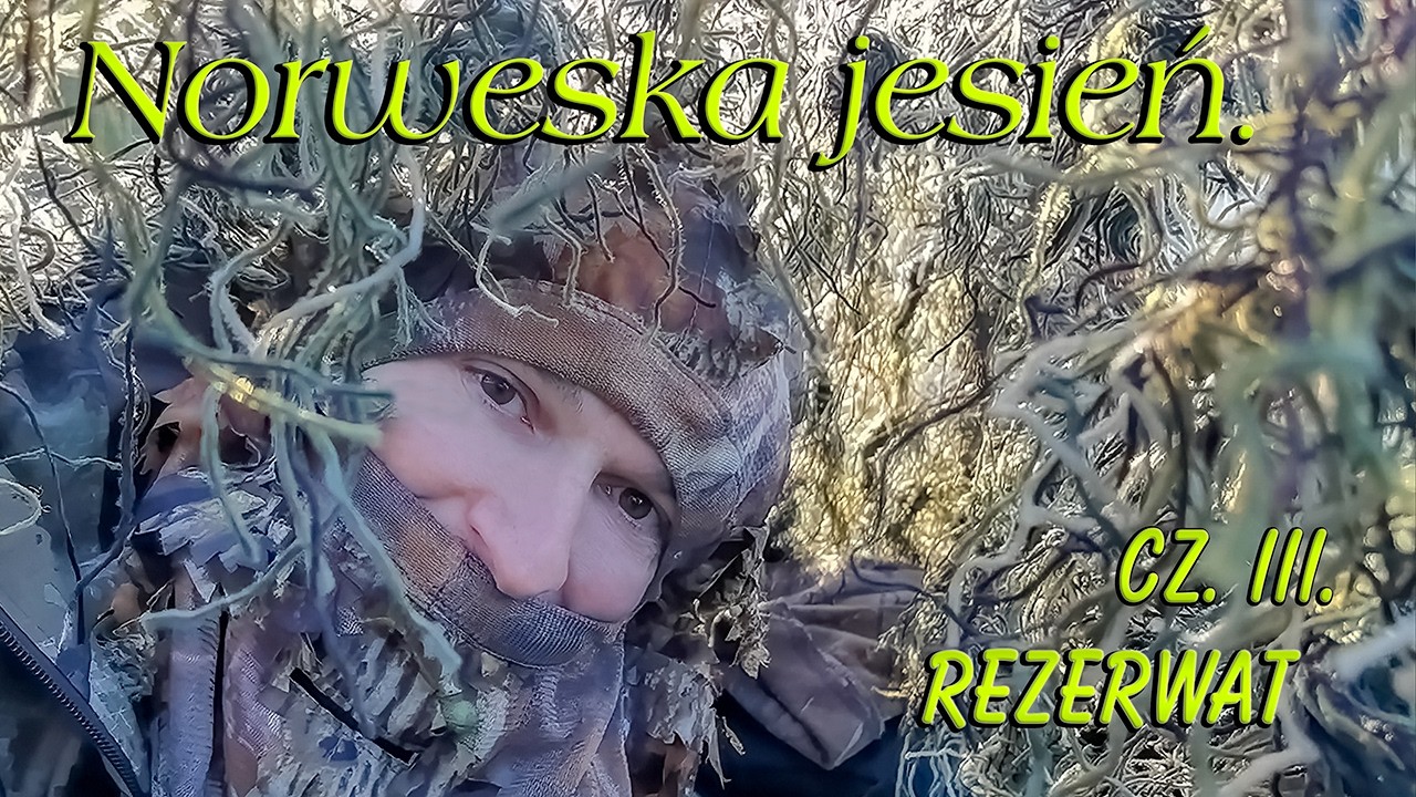 Norweska jesień.Cz.3.Rezerwat.