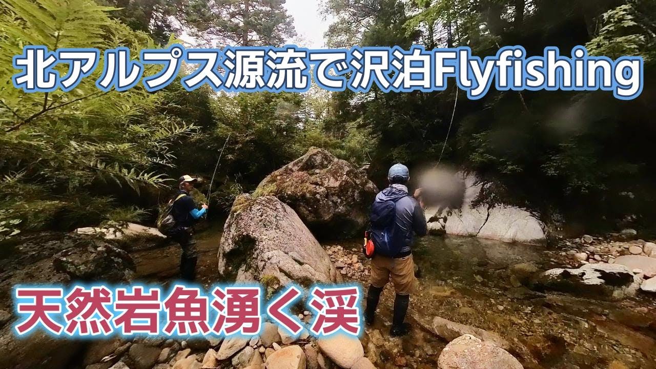 後編　天然岩魚湧く北アルプスの源流で1泊してフライフィッシング！