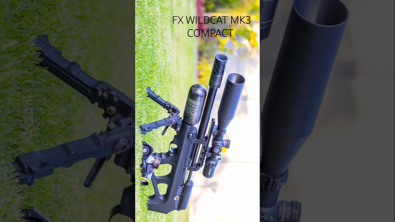 FX WILDCAT MK3 COMPACT | Powerful PCP Air Gun | Best air guns in the world #fxairguns #sniper