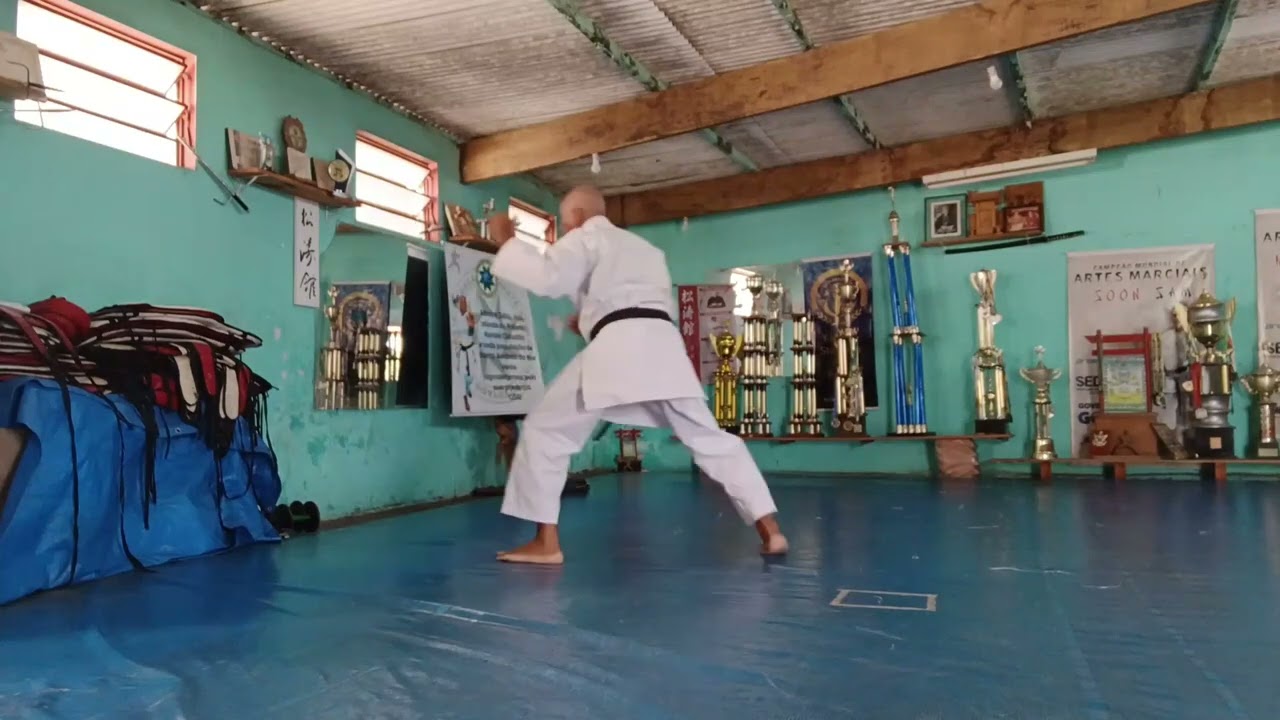 Délio SKIF 68a Jyu Ipon Kumitê treino...