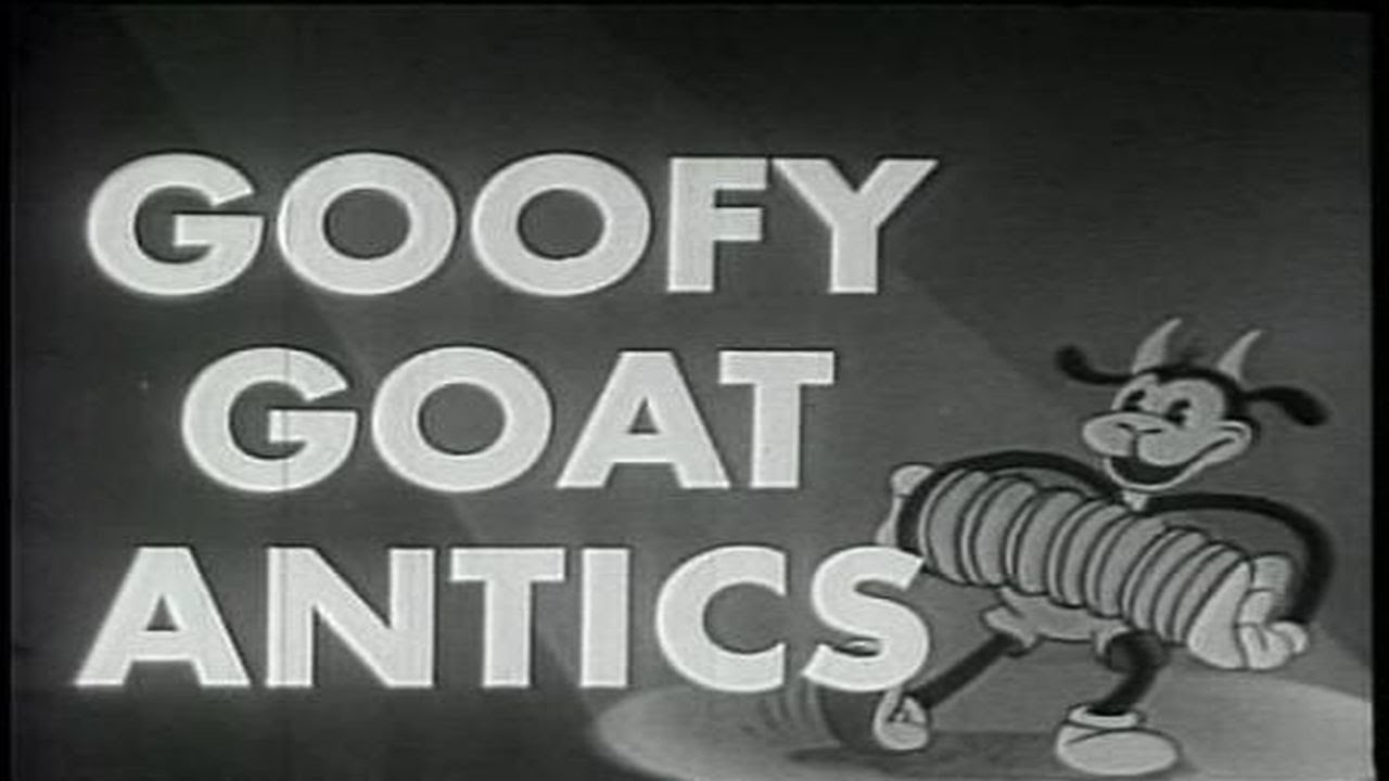 Goofy Goat Antics