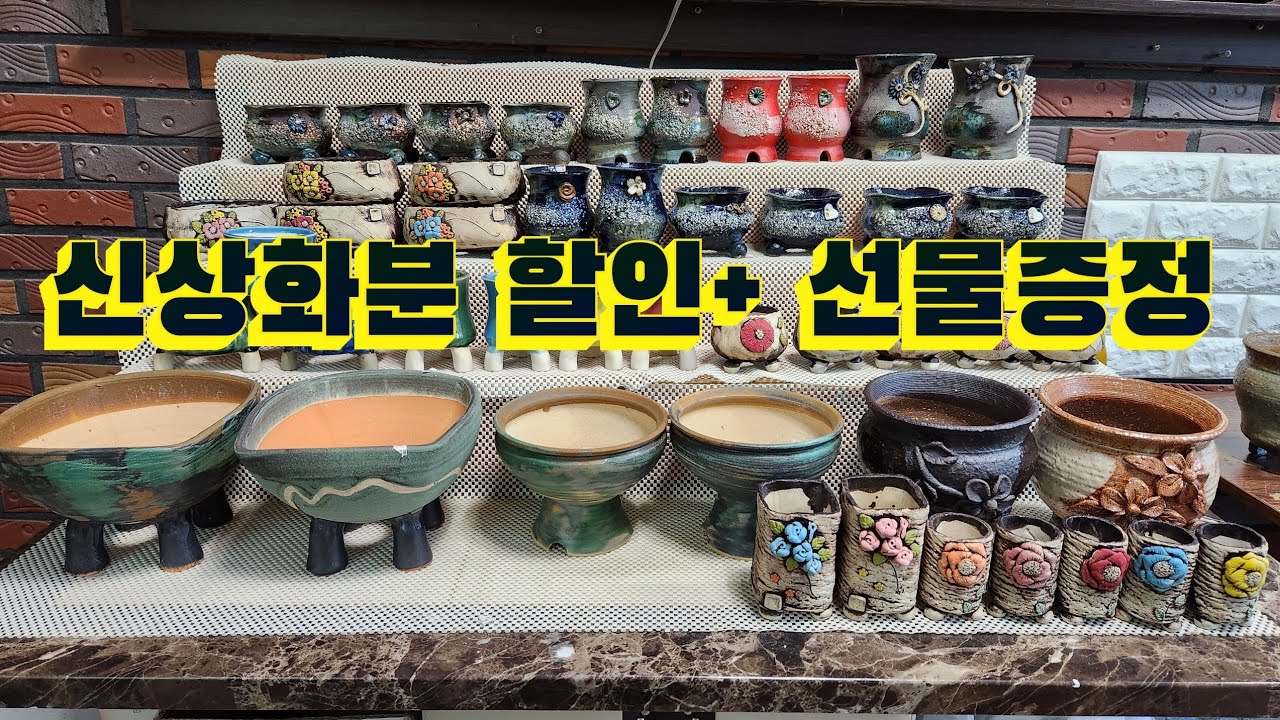 신상화분 할인 +선물증정