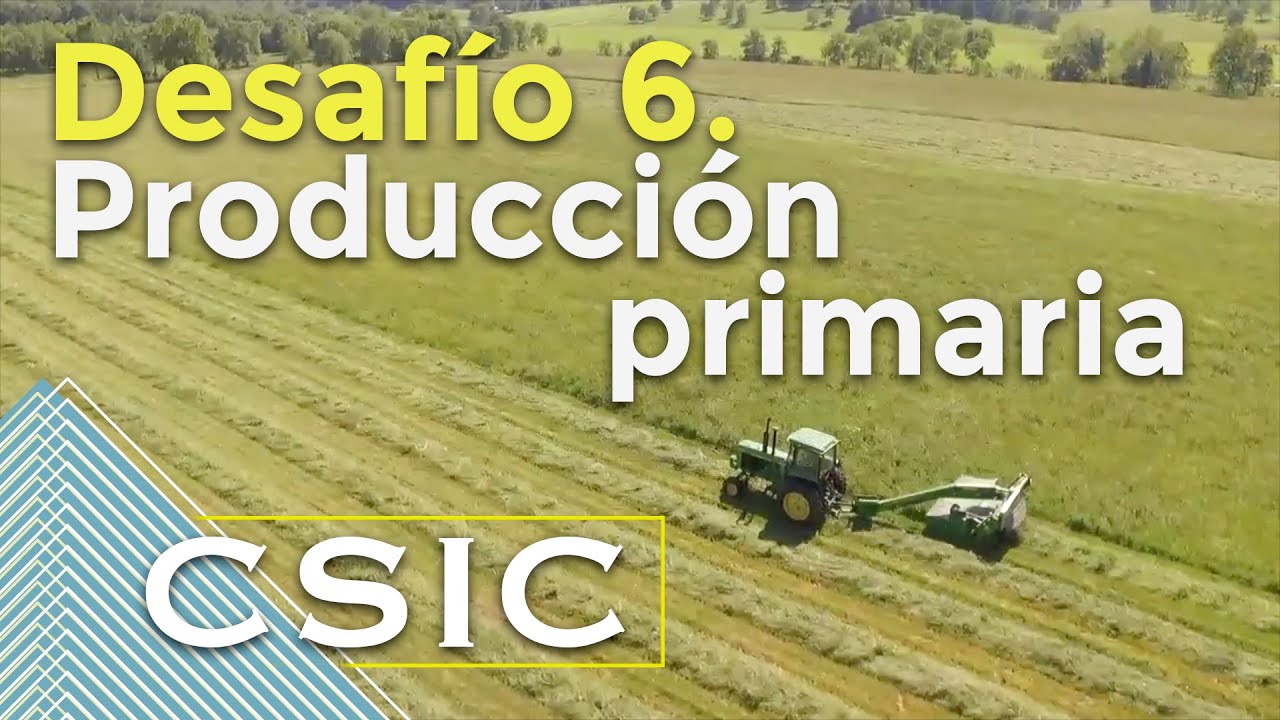 Desafío 6. Producción primaria
