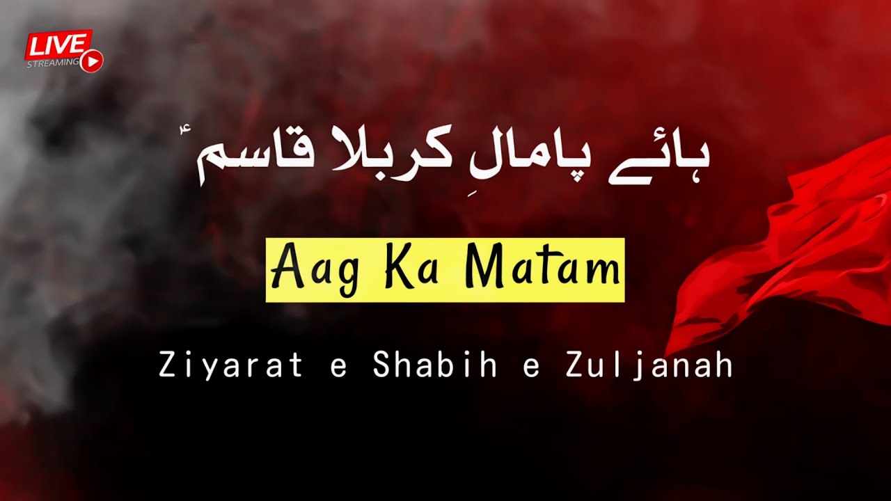 live ziyarat e zuljanah | shahadat hazrat qasim | 7 muharram 1446 Hijri | aag ka matam | zuljanah