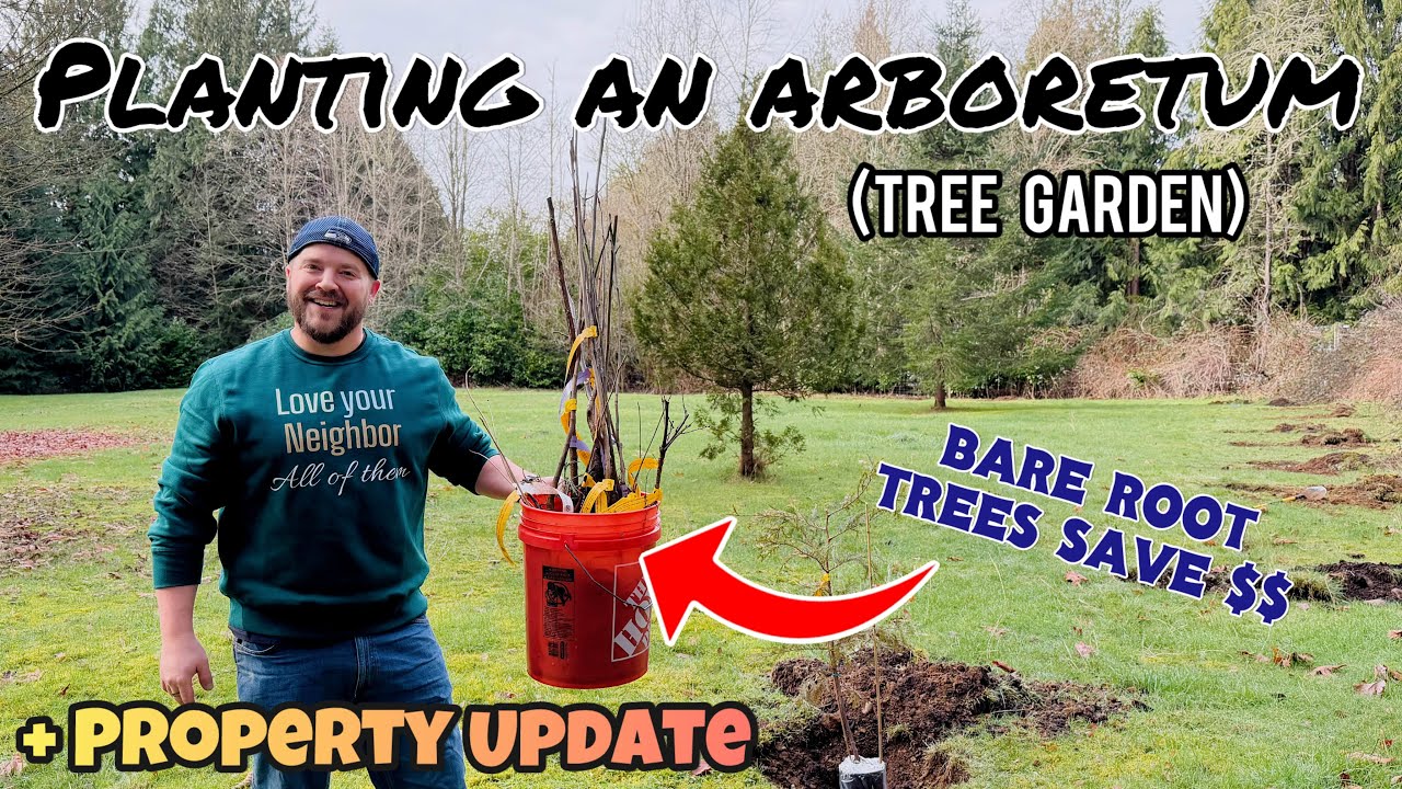 Making an Arboretum in my Backyard: Tree Garden for Wood, Fruit, Nuts, & More