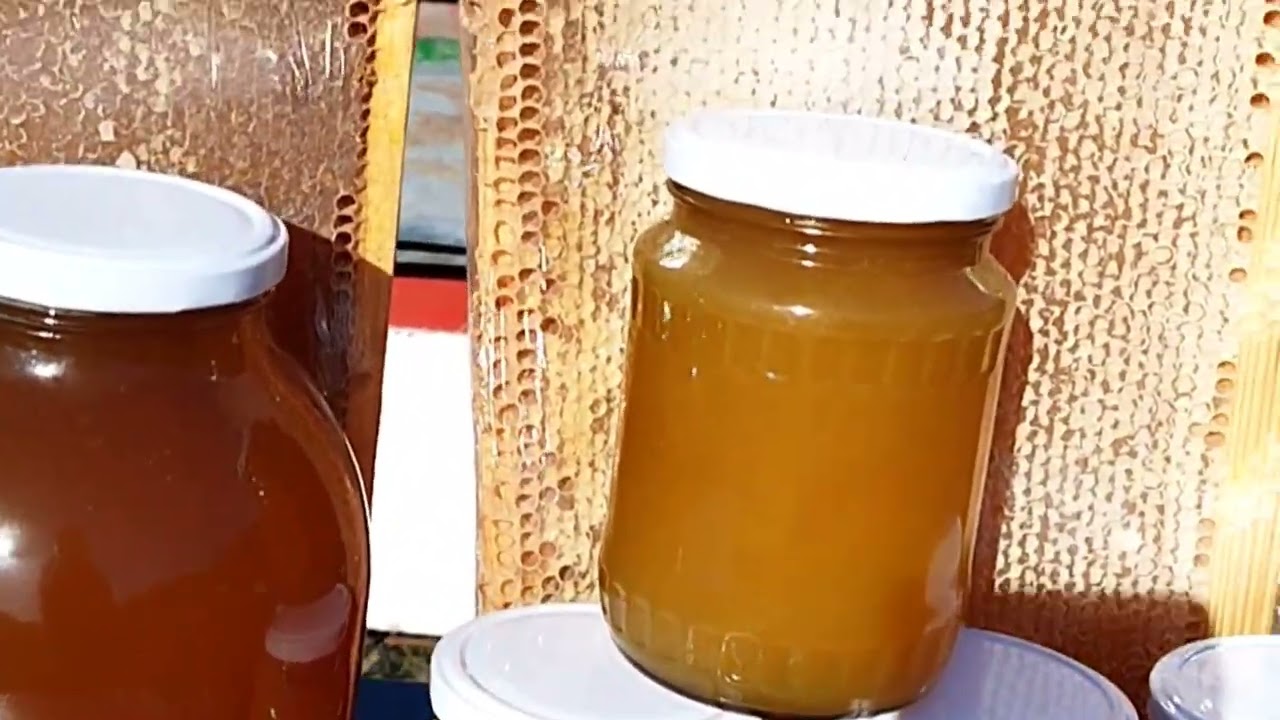 Füsünkar təbiət organic məhsullar